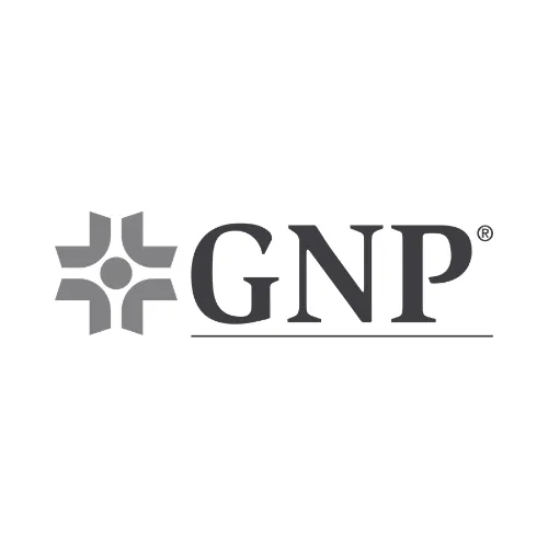 GNP