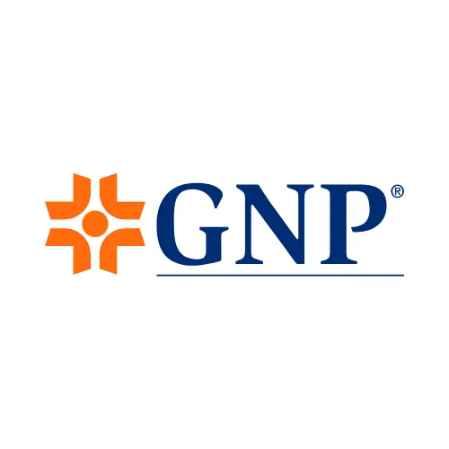 GNP
